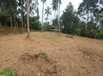 Residential Land for Sale in Kottayam, Ettumanoor, Ettumanoor, MHM6+FCC, Ettumanoor, Kerala 686632