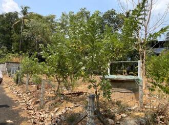 Residential Land for Sale in Thrissur, Kuriachira, Kuriachira, Koorkkanchery-Chiyyaram main road