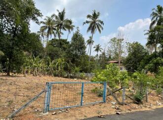 Residential Land for Sale in Thrissur, Kuriachira, Kuriachira, Koorkkanchery-Chiyyaram main road