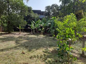 Residential Land for Sale in Thrissur, Kuriachira, Kuriachira, Koorkkanchery-Chiyyaram main road