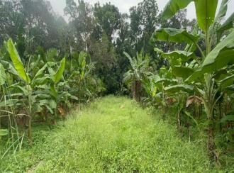 Residential Land, Thrissur