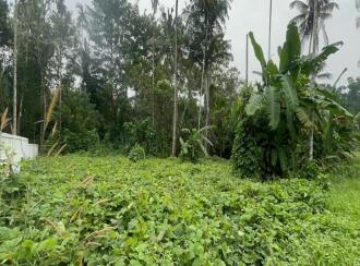 Residential Land for Sale in Thrissur, Mala, Kuzhur, Village office