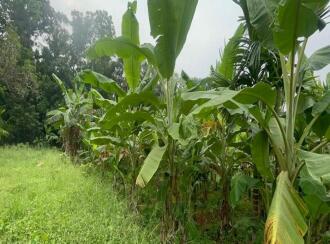 Residential Land for Sale in Thrissur, Mala, Kuzhur, Village office