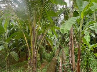 Residential Land for Sale in Thrissur, Mala, Kuzhur, Village office