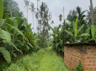 Residential Land for Sale in Thrissur, Mala, Kuzhur, Village office