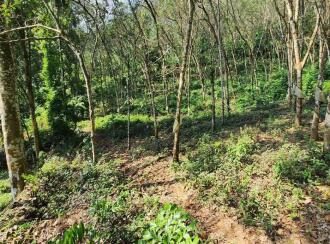 Agricultural Land for Sale in Kottayam, Pampady, Pampady, Meenadom