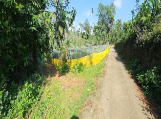 Agricultural Land for Sale in Kottayam, Pampady, Pampady, Meenadom