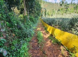 Agricultural Land for Sale in Kottayam, Pampady, Pampady, Meenadom