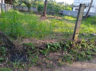 Residential Land for Sale in Thrissur, Mannuthy, Mannuthy