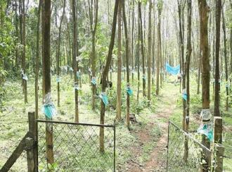Residential Land for Sale in Thrissur, Chalakudy, Meloor, Near Pushpagiri church