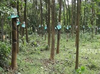 Residential Land for Sale in Thrissur, Chalakudy, Meloor, Near Pushpagiri church