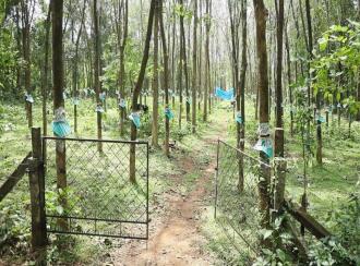 Residential Land for Sale in Thrissur, Chalakudy, Meloor, Near Pushpagiri church