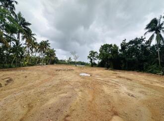 Residential Land for Sale in Ernakulam, Ernakulam town, Kothadu, moolampilly