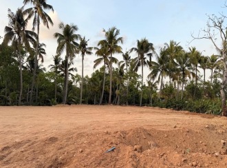 Residential Land for Sale in Ernakulam, Ernakulam town, Kothadu, moolampilly