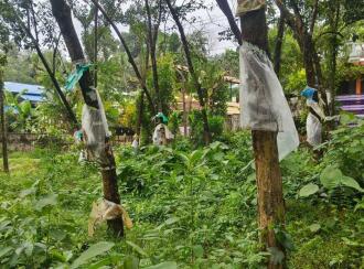 Residential Land for Sale in Kollam, Kottiyam, Thazhuthala, Nallila