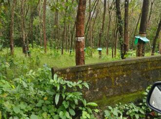 Residential Land for Sale in Kollam, Kottiyam, Thazhuthala, Nallila