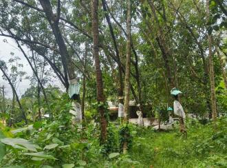 Residential Land for Sale in Kollam, Kottiyam, Thazhuthala, Nallila