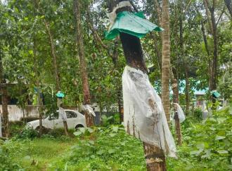 Residential Land for Sale in Kollam, Kottiyam, Thazhuthala, Nallila