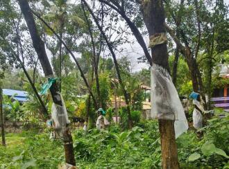 Residential Land for Sale in Kollam, Kottiyam, Thazhuthala, Nallila