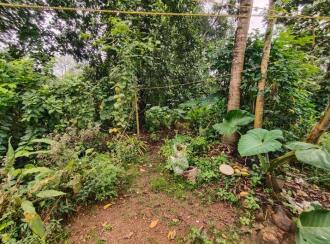 Residential Land for Sale in Kottayam, Kottayam town, Nattassery, Vayanasalla Choorakkattu Road