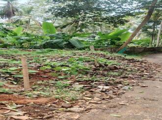 Residential Land for Sale in Trivandrum, Neyyattinkara, Chankal