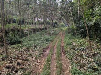 Residential House Villa for Sale in Ernakulam, Piravom, Piravom, peruva -- monapally road