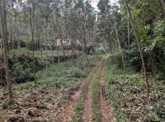 Residential House Villa for Sale in Ernakulam, Piravom, Piravom, peruva -- monapally road