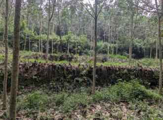 Residential House Villa for Sale in Ernakulam, Piravom, Piravom, peruva -- monapally road