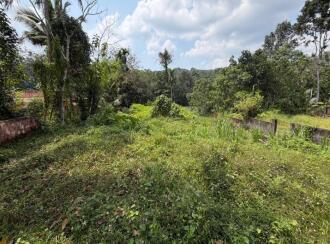 Residential Land for Sale in Pathanamthitta, Thiruvalla, Mundiyapally, Near post office
