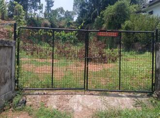 Residential Land for Sale in Kottayam, Kottayam town, Ammanchery, Near Kuriakose Elias College Mannanam