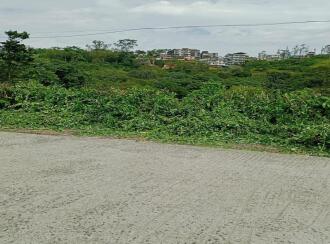 Residential Land for SaleIdukki, Kuttikanam, Kuttikanam