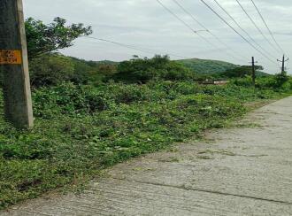 Residential Land for Sale in Idukki, Kuttikanam, Kuttikanam, 60m Palace Avenue Hill Resort - Kuttikkanam Hotels