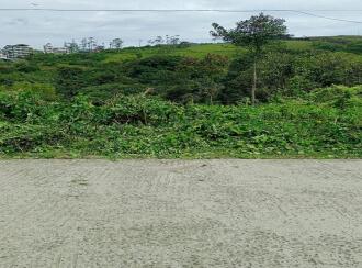 Residential Land for Sale in Idukki, Kuttikanam, Kuttikanam, 60m Palace Avenue Hill Resort - Kuttikkanam Hotels