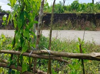 Residential Land for Sale in Idukki, Kuttikanam, Kuttikanam, 60m Palace Avenue Hill Resort - Kuttikkanam Hotels