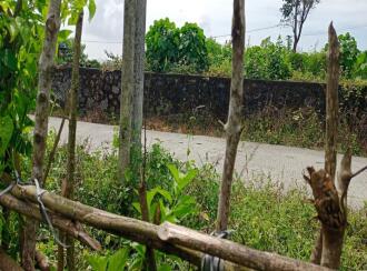 Residential Land for Sale in Idukki, Kuttikanam, Kuttikanam, 60m Palace Avenue Hill Resort - Kuttikkanam Hotels