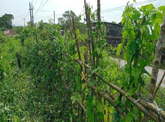 Residential Land for Sale in Idukki, Kuttikanam, Kuttikanam, 60m Palace Avenue Hill Resort - Kuttikkanam Hotels