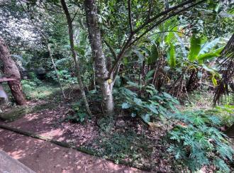 Residential House Villa for Sale in Pathanamthitta, Thiruvalla, Thiruvalla town, Mathilbhagom, Kizhakkenada JN, Sreevallabha Temple