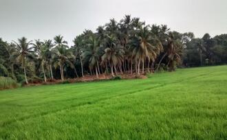 Residential House Villa for Sale in Pathanamthitta, Thiruvalla, Peringara, St.Paul's marthoma church