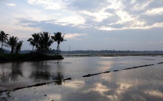 Residential House Villa for Sale in Pathanamthitta, Thiruvalla, Peringara, St.Paul's marthoma church