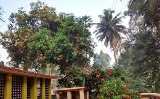 Residential House Villa for Sale in Pathanamthitta, Thiruvalla, Peringara, St.Paul's marthoma church