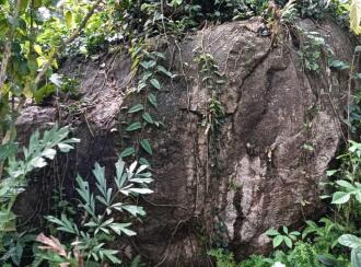 Residential Land for Sale in Ernakulam, Muvattupuzha, Arakuzha, Meenkunnam road