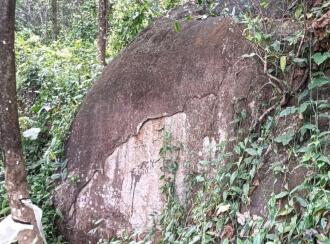 Residential Land for Sale in Ernakulam, Muvattupuzha, Arakuzha, Meenkunnam road