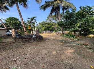 വാസയോഗ്യമായ ഭൂമി വില്പനയ്ക്ക് Thrissur, Mannuthy, Mannuthy