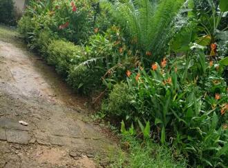 Agricultural Land for Sale in Ernakulam, Kothamangalam, Parikanni, 1.5 km from Oonnukal town