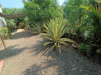 Agricultural Land for Sale in Ernakulam, Kothamangalam, Parikanni, 1.5 km from Oonnukal town