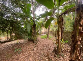 Residential Land for Sale in Ernakulam, Aluva, Kanjoor, Kallumkootam Road