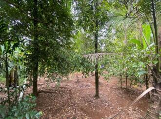 Residential Land for Sale in Ernakulam, Aluva, Kanjoor, Kallumkootam Road