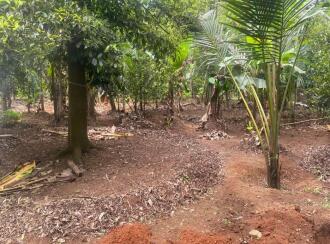 Residential Land for Sale in Ernakulam, Aluva, Kanjoor, Kallumkootam Road
