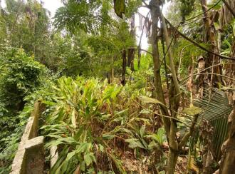 Residential Land for Sale in Ernakulam, Aluva, Kanjoor, Kallumkootam Road