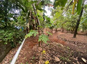 Residential Land for Sale in Ernakulam, Aluva, Kanjoor, Kallumkootam Road